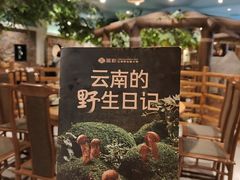 -菌彩云南野生菌火锅(新亚洲店)