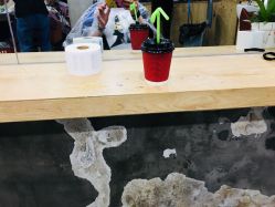 大厅-Hair house发舍