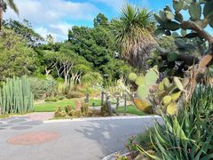 -墨尔本皇家植物园