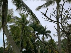 -白沙门生态公园