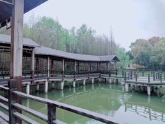 -溱湖国家湿地公园