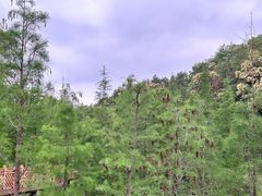 -神光山国家森林公园