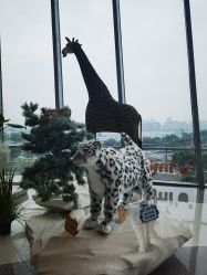 -IMON·HANSA潮玩玩偶毛绒玩具(通州万象汇店)