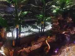 -润青四季音乐主题餐厅·椰子鸡(罗湖店)
