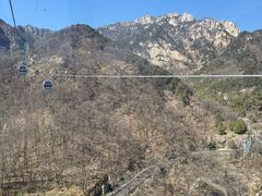 -万达广场(泰安泰山店)