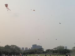 -顺峰山公园