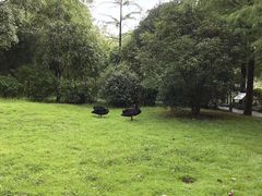 -浙江农林大学(东湖校区)