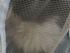 -宠颐生嘉德动物医院