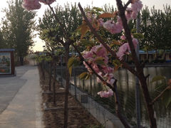 iphone_upload_pic-北京潮河湾农业生态园