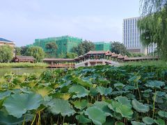 -西海子公园