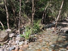 -玉渡山自然风景区