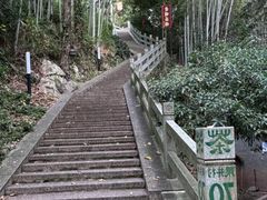 -龙井村