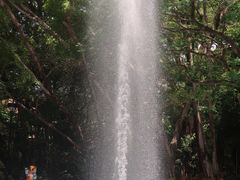 -九龙公园