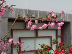 -陶然亭公园