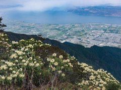 -苍山世界地质公园·石门关大峡谷