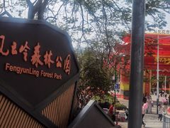 -风云岭森林公园