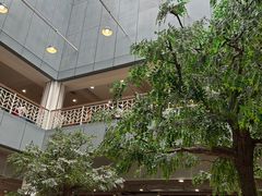 -复旦张江校区食堂