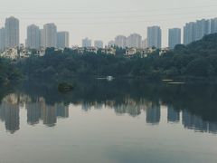 -重庆彩云湖湿地公园