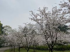 -南山植物园