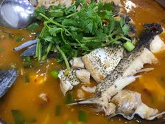 -全乐鱼馆·淳牌有机鱼直营店