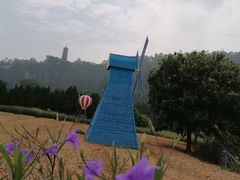 -南沙蒲洲花园