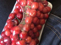 -中国医学科学院皮肤病医院