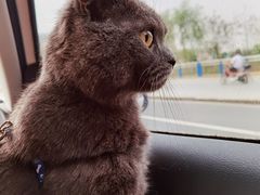 -盒马鲜生(馥邦国际店)