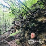 风景不错 爬爬山，一线天也很壮观 来回跑了40分钟