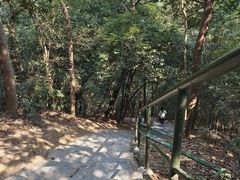 -虎跑公园
