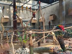 -大连森林动物园