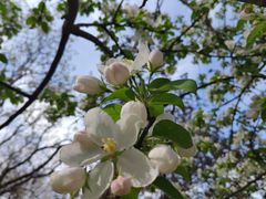 -元大都城垣遗址公园