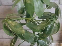 -新沸腾鱼乡(世贸天阶店)