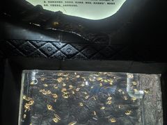 -苏州海洋馆