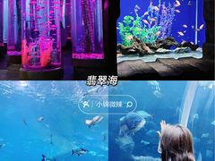 -郑州银基国际旅游度假区