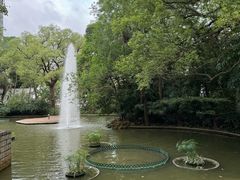 -九龙公园