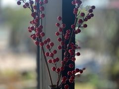 -BUND·FIVE外滩5号(天际店)