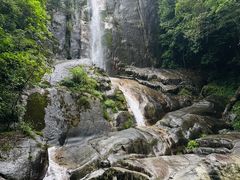 -大鄣山卧龙谷景区