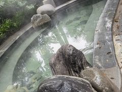 -青城道汤池