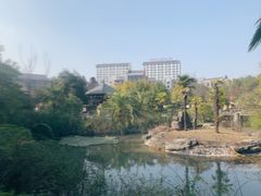 -咸宁万豪温泉谷度假区