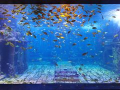 -北海海底世界