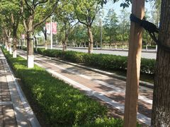 -上海海事大学(临港校区)