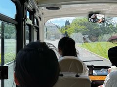 -盐城丹顶鹤湿地生态旅游区