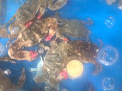 -宾朋海鲜特色美食餐厅·纯手工鲅鱼水饺(兴海路店)