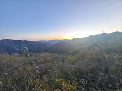 -大岭沟猕猴桃谷风景区