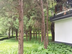 -团结湖公园