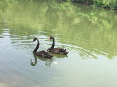 iphone_upload_pic-沈阳鸟岛