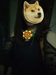 -镁连社·美联社