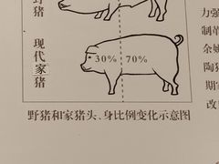 -上海崧泽遗址博物馆