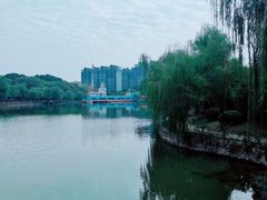-武汉交通职业学院