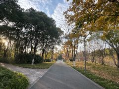 -昆山城市生态森林公园